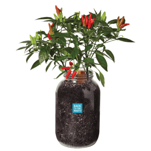 Back to the Roots Gardening Gifts at Amazon: Up to 30% off Back to the Roots Gardening Gifts at Amazon: Up to 30% off