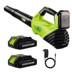 Firstness 20V Cordless Leaf Blower w/ 2 Batteries & Charger: $49.99
