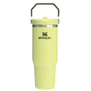 Stanley 30-oz. IceFlow Flip Straw Tumbler: $20