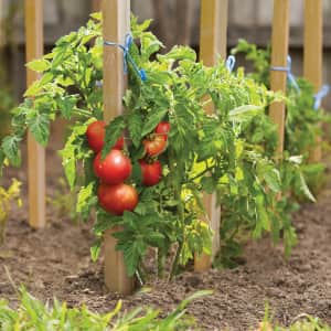 18" Wood Landscape Stake 12-Pack: $6.98 18" Wood Landscape Stake 12-Pack: $6.98