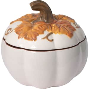 Pfaltzgraff Autumn Berry Covered Pumpkin Bowl: $9.99
