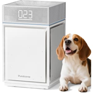 Pureborne HEPA Air Purifier w/ 3-Side Intake: $77.99