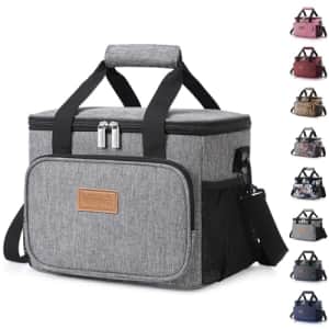 Lifewit 8.5-Liter Insulated Lunch Bag: $13.59