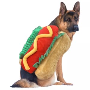 Halloween Pet Costumes and Supplies at Kohl's: up to 30% off