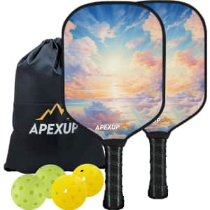 Fiberglass Pickleball Paddle Set: $19.99