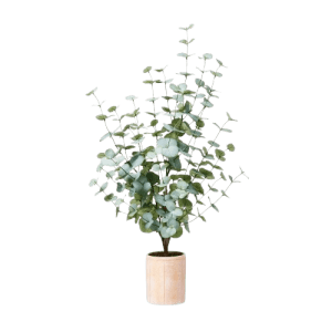 Threshold Large Artificial Eucalyptus Plant in Pot: $15 Threshold Large Artificial Eucalyptus Plant in Pot: $15