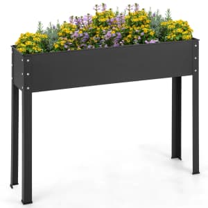 Walmart Memorial Day Live Plant and Planter Deals: Up to 60% off Walmart Memorial Day Live Plant and Planter Deals: Up to 60% off