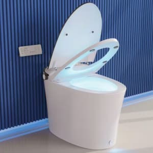 Home Depot 4th of July Toilet Deals: Up to 37% off