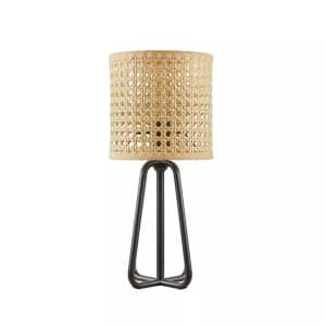 Metal Frame Table Lamp: $15