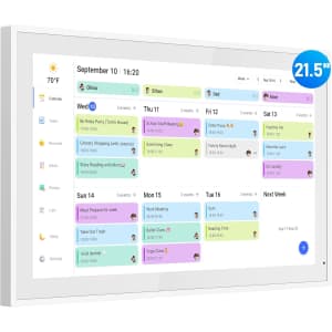 flyEVfish 21.5" Digital Calendar & Chore Chart: $199.99