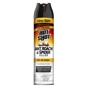 Hot Shot Tools Hot Shot 20-fl. oz. Aerosol Insect Killer: $3
