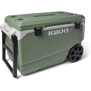 Igloo Coolers Black Friday Deals at Amazon: Up to 50% off