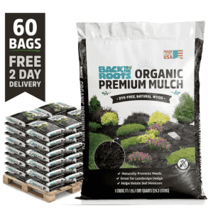 Landscaping & Live Plants Daily Deals at Home Depot: Up to 45% off daily deals