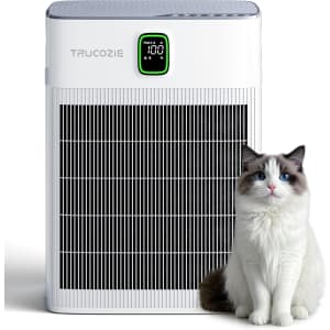 T554 Air Purifier for Home Up to 2000 Ft²: $54.99
