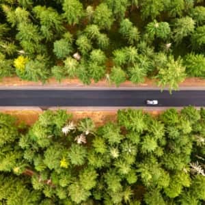 Budget Rent-A-Car Rentals: Up to 35% off + free upgrade Budget Rent-A-Car Rentals: Up to 35% off + free upgrade