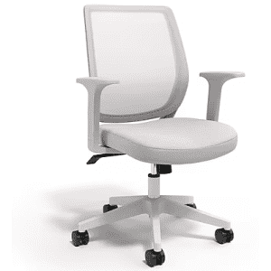 Staples Essentials Ergonomic Fabric Swivel Task Chair: $80