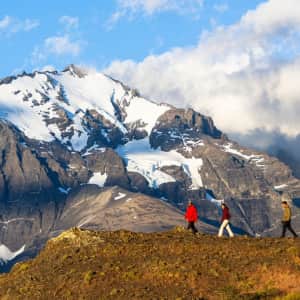 Princess Cruises 15-Night Cape Horn & Strait of Magellan Cruise: From $2,509 per person + free 3rd & 4th guests