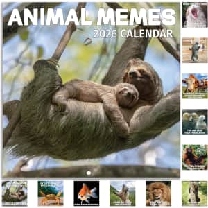 Animal Memes 2026 Calendar: $7.10