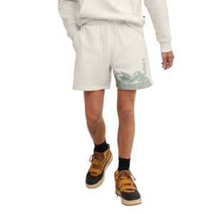 Hanes Men's Explorer 6" French Terry Shorts: $4.99
