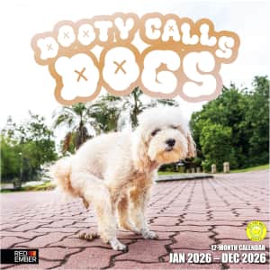 Dooty Calls Dogs 2026 Wall Calendar: $4.99 Dooty Calls Dogs 2026 Wall Calendar: $4.99