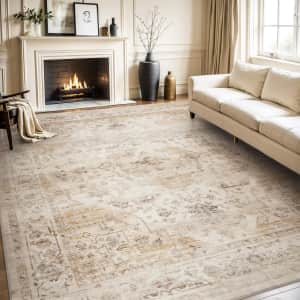 Amoami 5x7-Foot Vintage Area Rug: $29.99