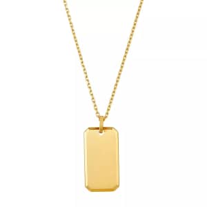 Adornia 14k Gold Plated Dog Tag Necklace: $9.45 Adornia 14k Gold Plated Dog Tag Necklace: $9.45