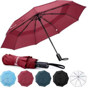 Pteromy Windproof Compact Travel Umbrella: $11.89