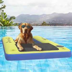 59" Inflatable Float Pad for Dogs: $89.99