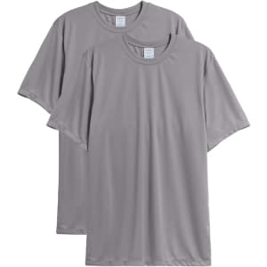 Hanes Men's Moisture Wicking T-Shirt 2-Pack: $11