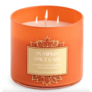 Distant Lands Pumpkin Spice Cake 3-Wick Scented Jar Candle: $12