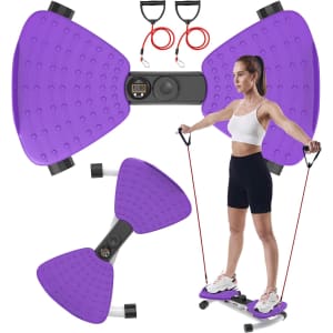 Renzec Waist Twister Machine: $24.99
