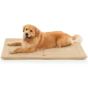 Amazon Outlet Pet Supplies Clearance: Up to 70% off