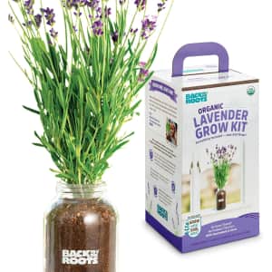 Back to the Roots Prime Day Deals at Amazon: Up to 37% off w/ Prime