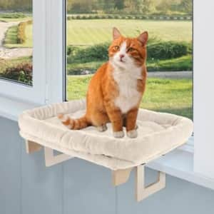 Pet Deals at Woot: Up to 83% off