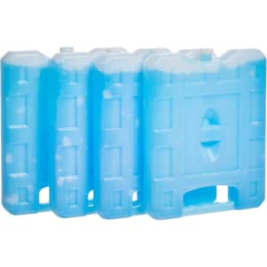 Amazon Basics Ice Pack 4-Pack: $10