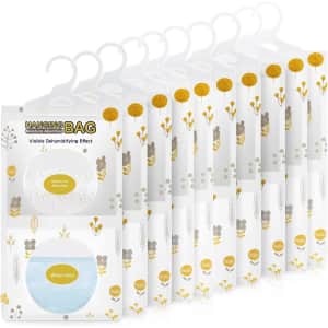 Vacplus Moisture Absorbers 10-Pack: $18 via Sub & Save