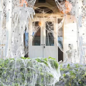 1,400-Sq. Ft. Spider Webs w/ 150 Fake Spiders: $6.99
