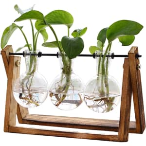 Plant Terrarium with Wooden Stand: $13 Plant Terrarium with Wooden Stand: $13