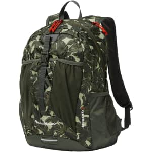 Eddie Bauer 30L Stowaway Packable Backpack: $24