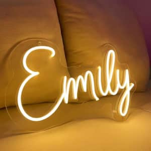 Custom Neon Sign for Decoration: $9.99