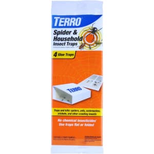 Terro 4-Count Spider & Insect Trap: $1.99