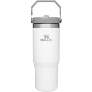 Stanley IceFlow 30-oz. Stainless Steel Tumbler with Straw: $26