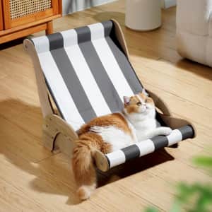 Pet Lovers Unite at Woot: Up to 79% off