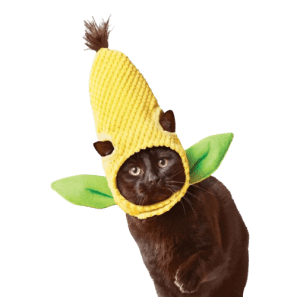 Boots & Barkley Halloween Costumes at Target: 40% off