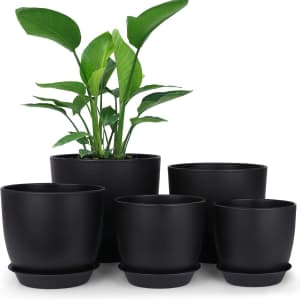 Homenote Planter Pot 5-Pack: $8.99 Homenote Planter Pot 5-Pack: $8.99