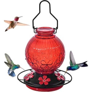 Glass Hummingbird Feeder: $9.49