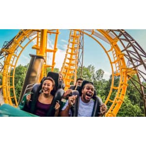 Busch Gardens Williamsburg Single Day Ticket + Free Meal: $79
