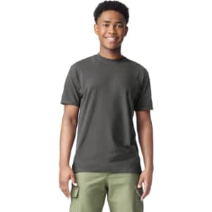 Comfort Colors Men's Heavyweight T-Shirt: $6