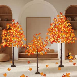 EEW Pre-Lit Halloween Maple Tree 3-Pack: $55.99 EEW Pre-Lit Halloween Maple Tree 3-Pack: $55.99