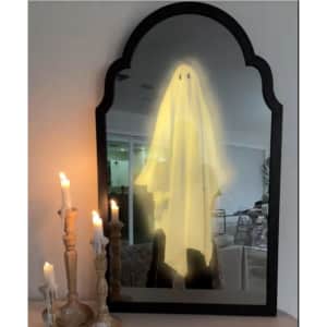 Halloween LED Hologram Ghost Mirror: $21.49